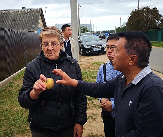 小牛村收购水果公益活动